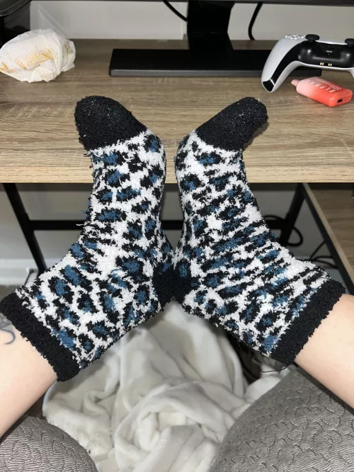 [F] once I send you my fuzzy sock pics, you’ll be on your knees forever