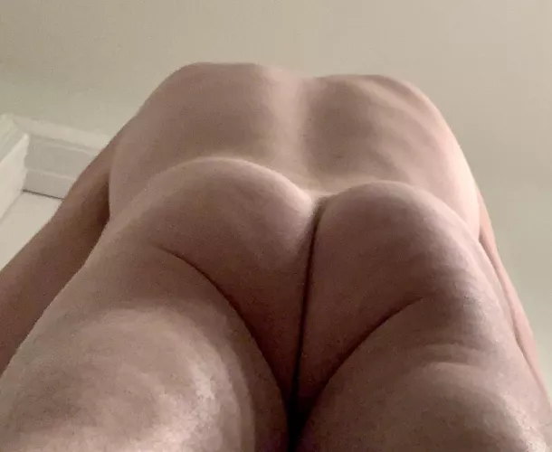 Happy day of the humps