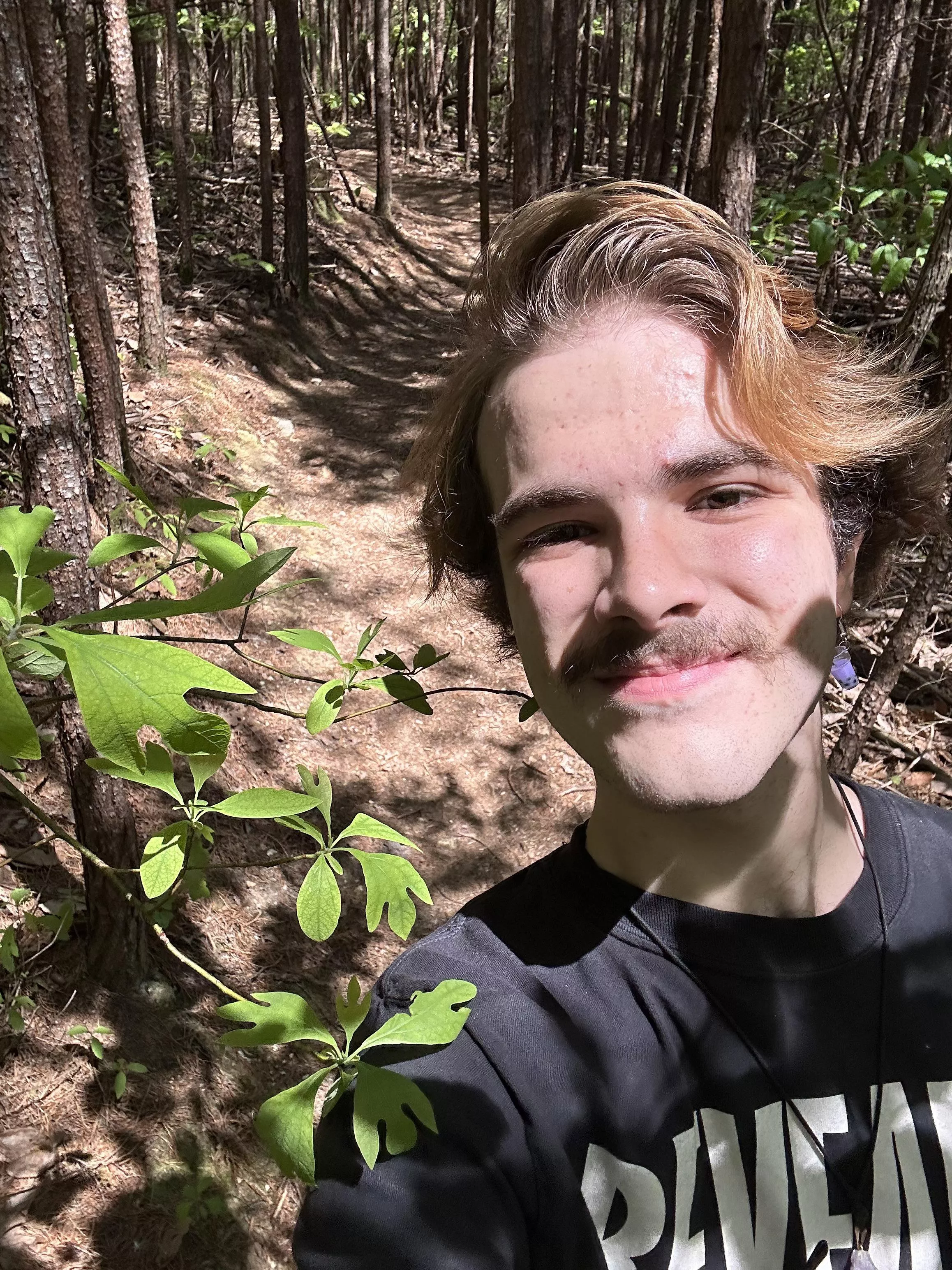 Me with my favorite tree species, Sassafras!
