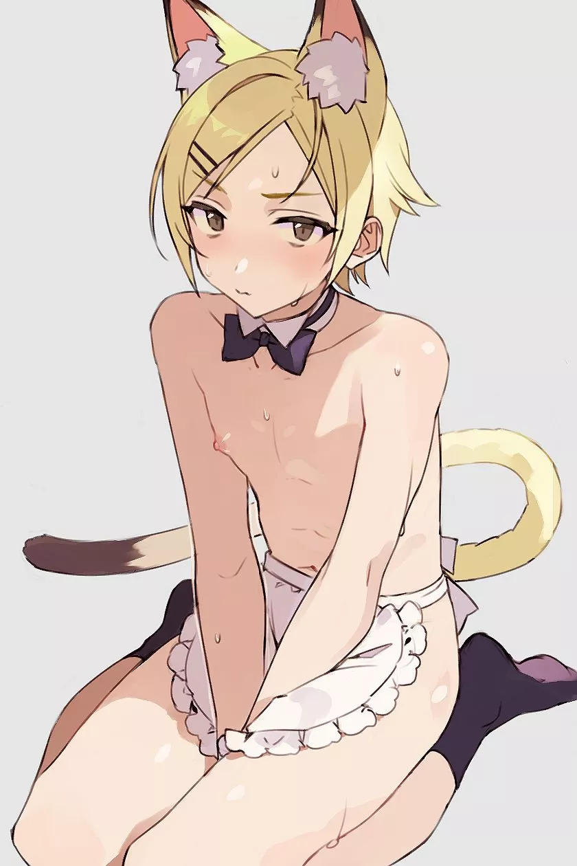 Meow?~