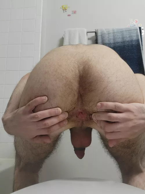 My boy hole for all you chubs