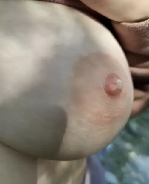 Showing off my lactating nipples in public park