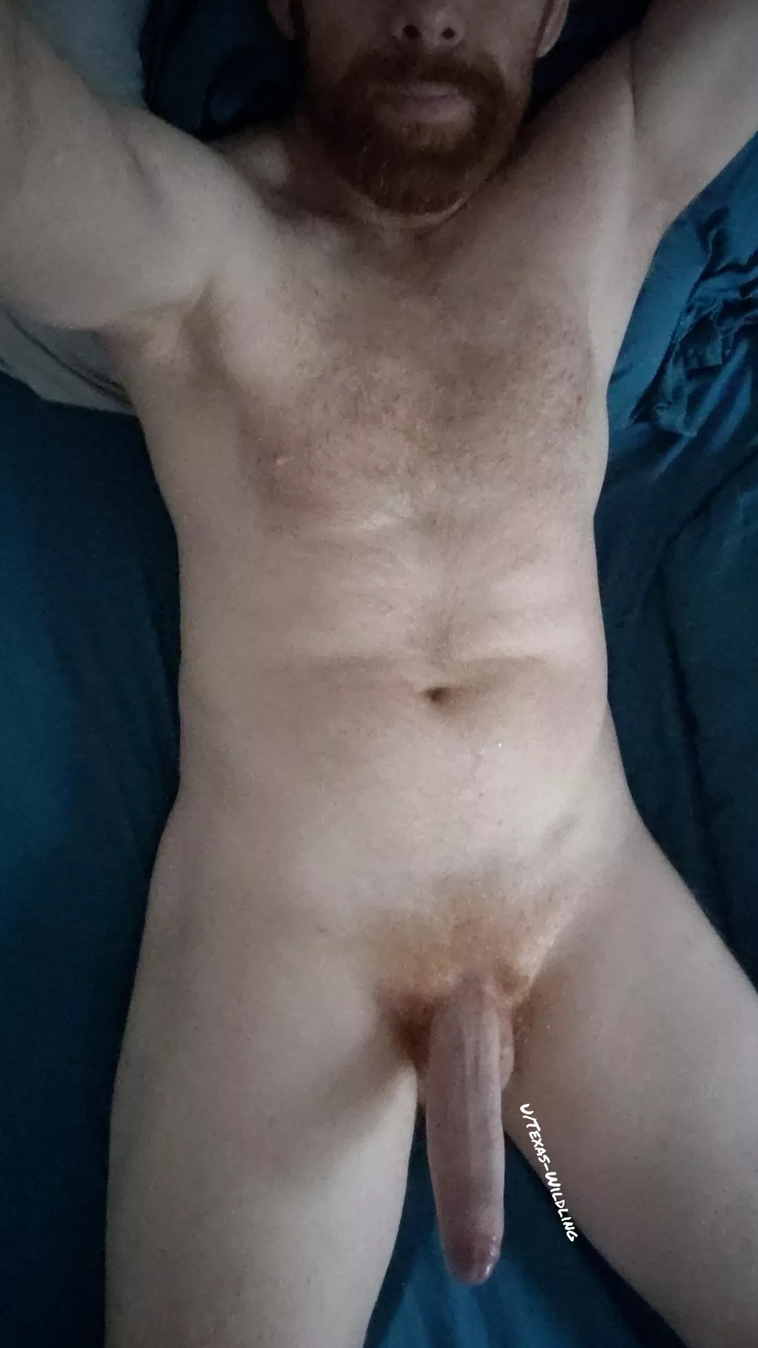 Sit on me... Face or beard, your choice