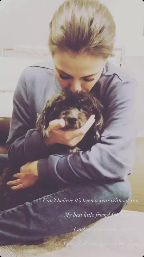 Wendy’s recent ig story post