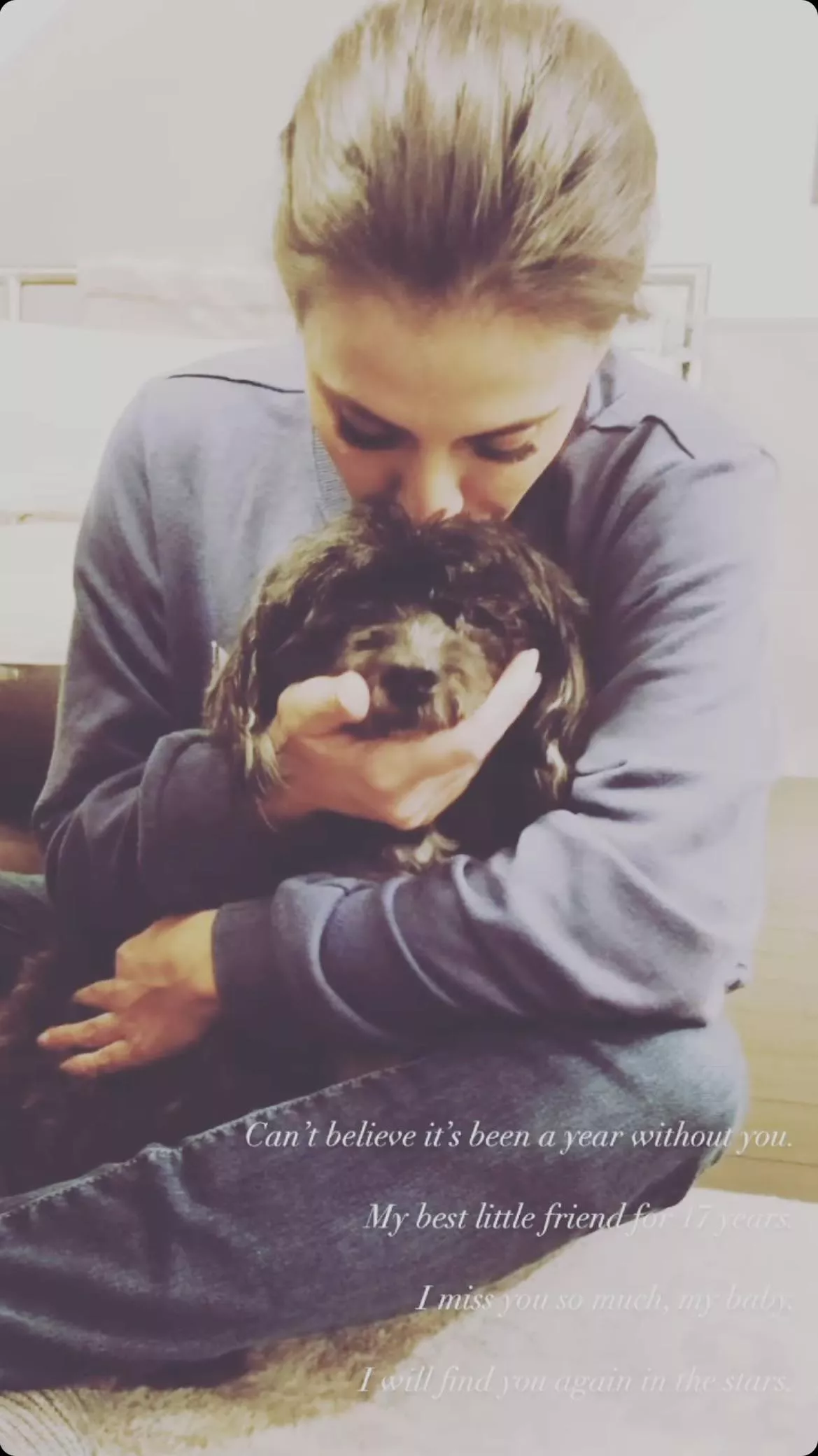 Wendy’s recent ig story post