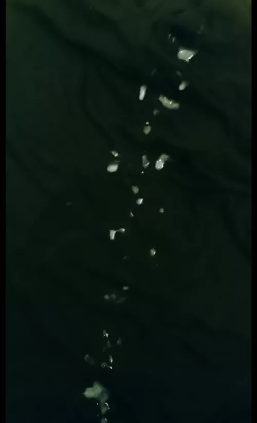 Who wants to compare? Hmu, plus points if brown cock