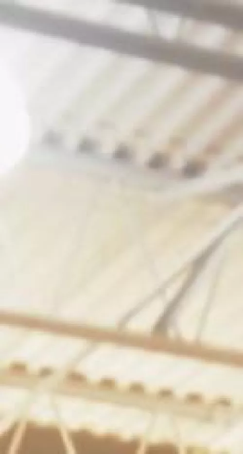 19 HUGE COCK. Sluts with nice asses add me. Anyone who thinks they have a massive cock add me. maxxz44