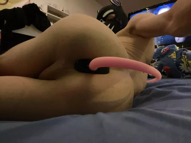 [19] plugged puppy UwU