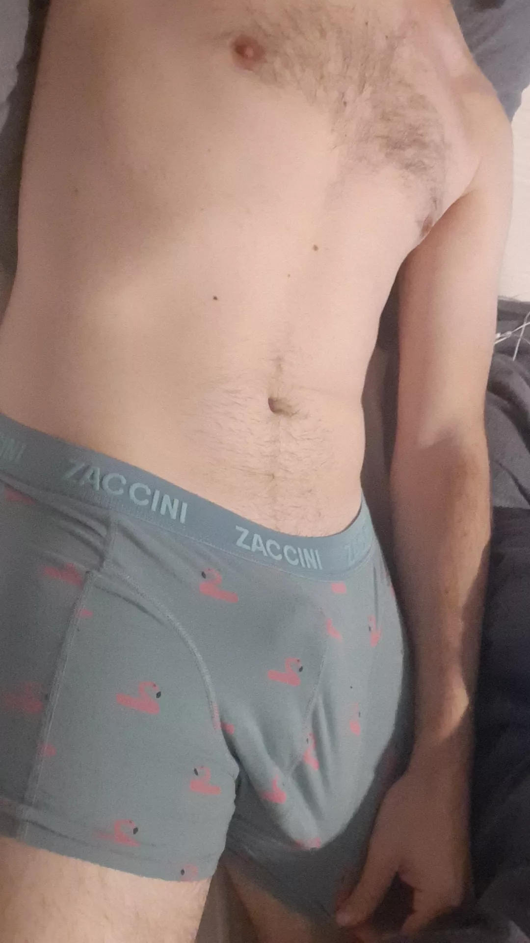 31 bicurious hung slim teacher, which cute boy wanna have some fun with me;) sc:binl1192