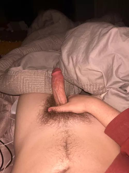 Add me on snap -wyattmill69, down for anybody