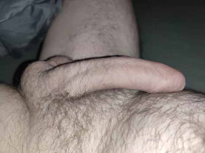 anyone like morning wood?