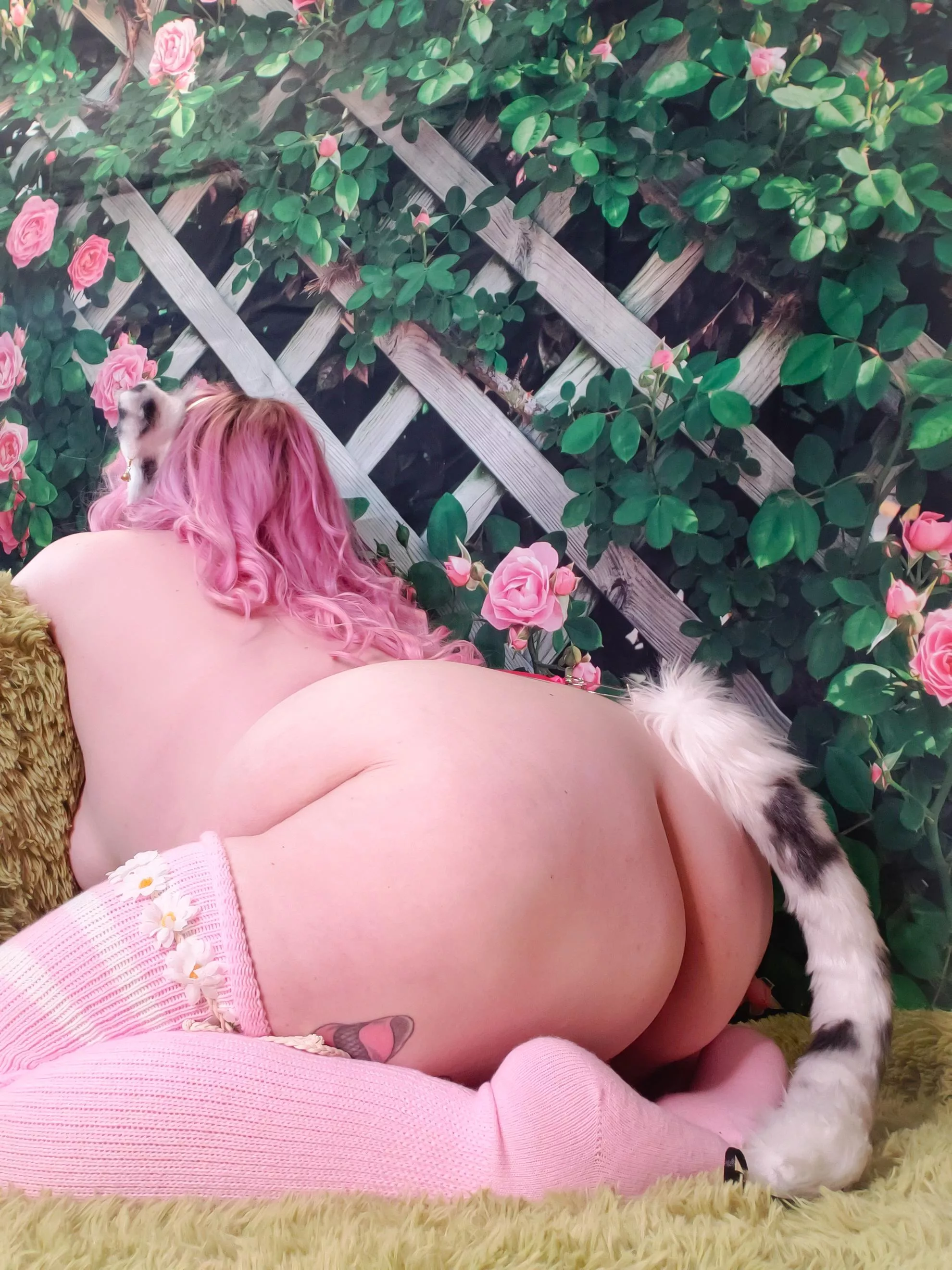 Enrichment time in my enclosure?