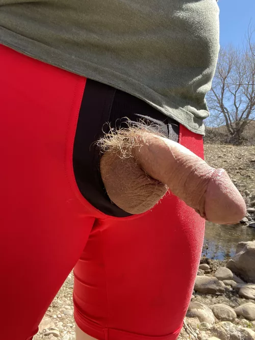 Ginger tuft in the wild