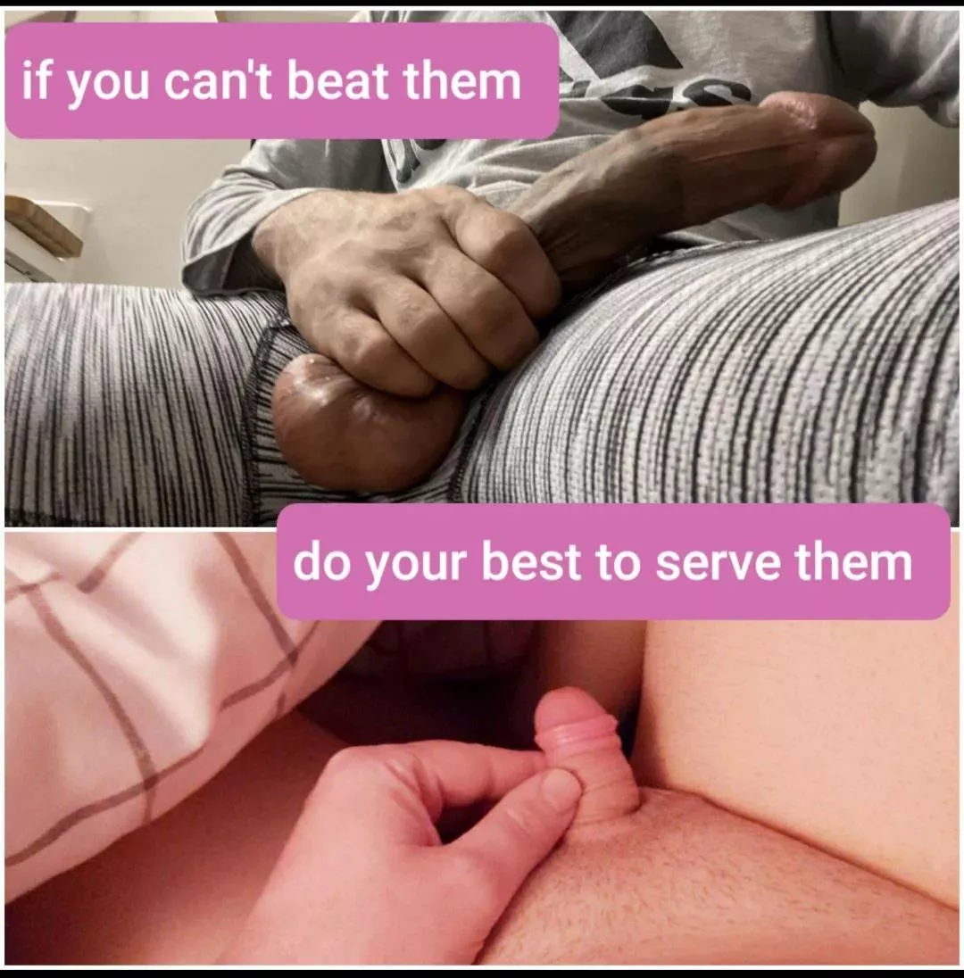 If you cant beat them, serve them