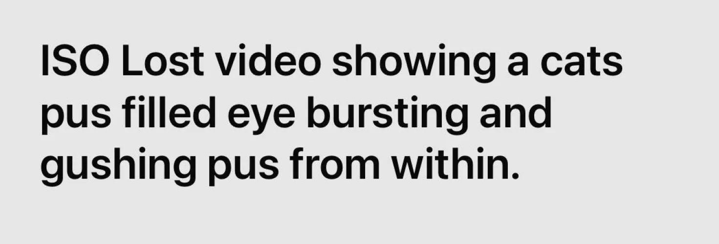 ISO Lost video showing a cats pus filled eye bursting and gushing pus from within.