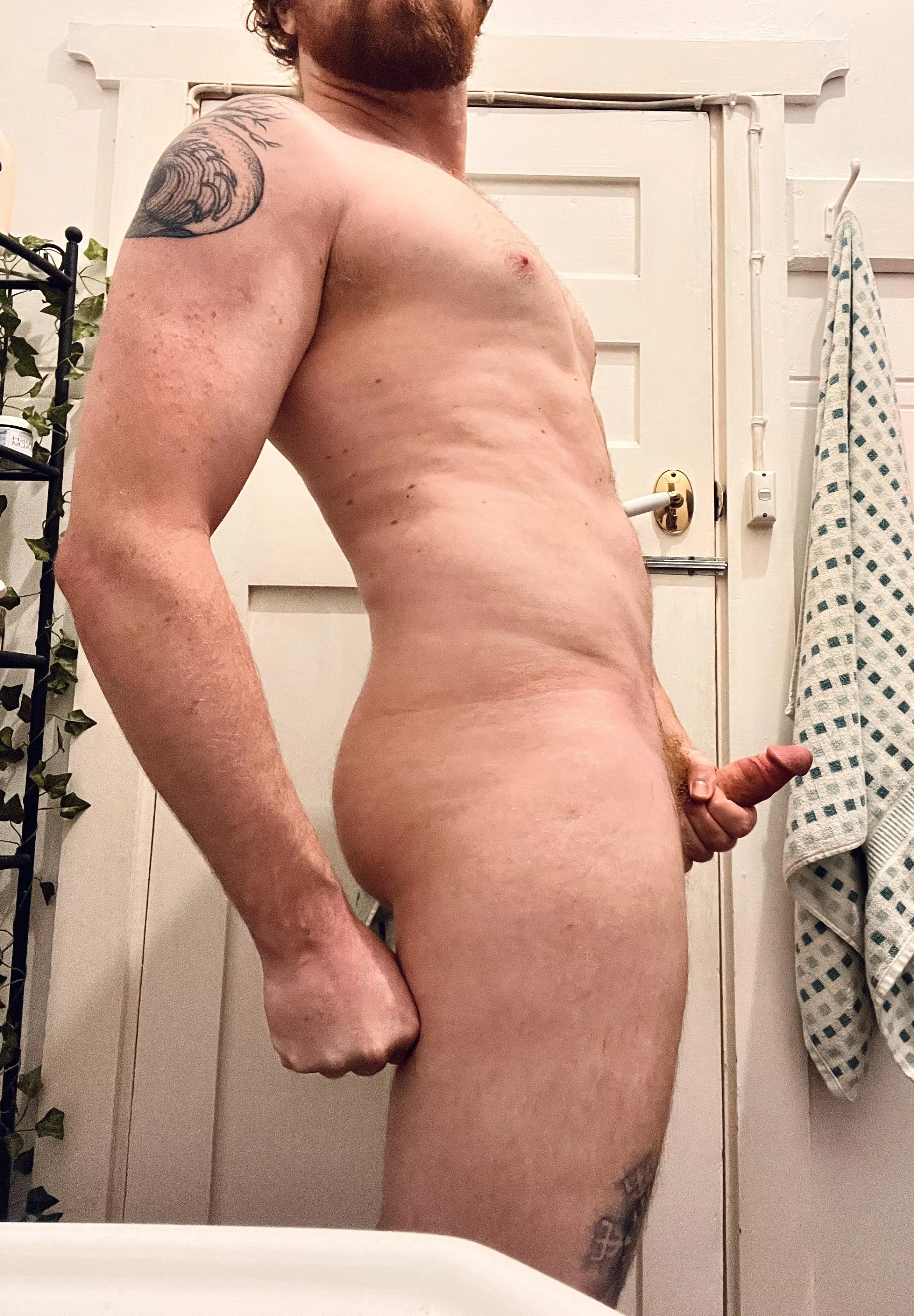 (M) As a giant, I’m thankful for everything being in proportion