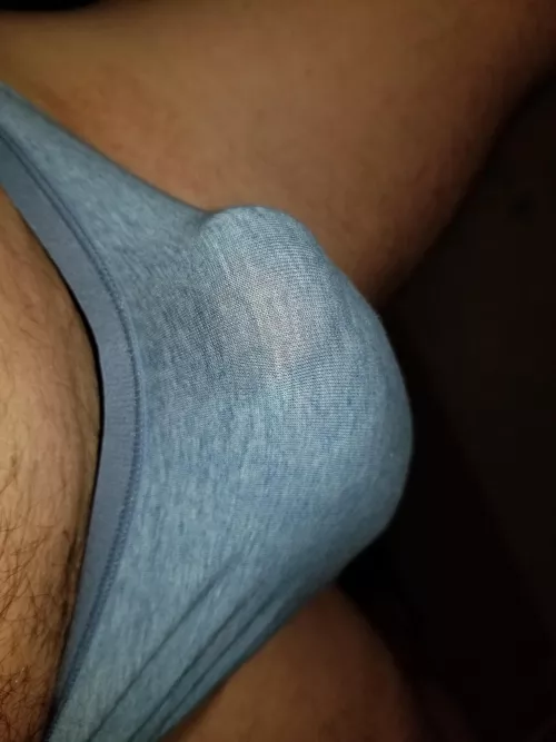 Morning wood outline