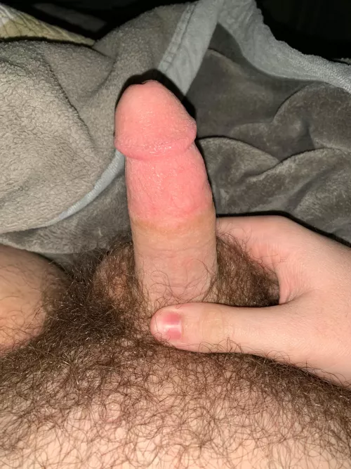 My hairy teen cock