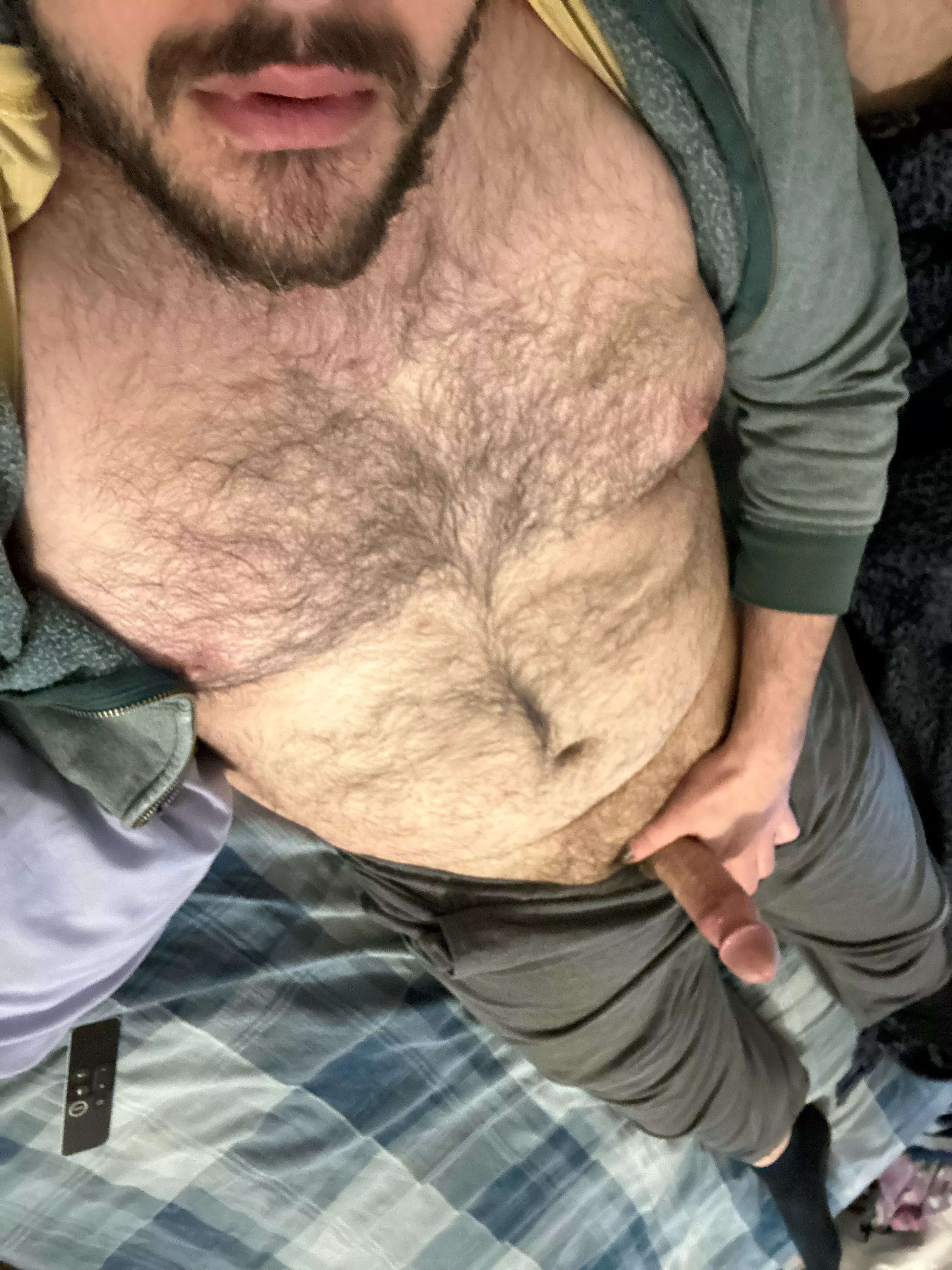 Need some attention from another fuzzy guy