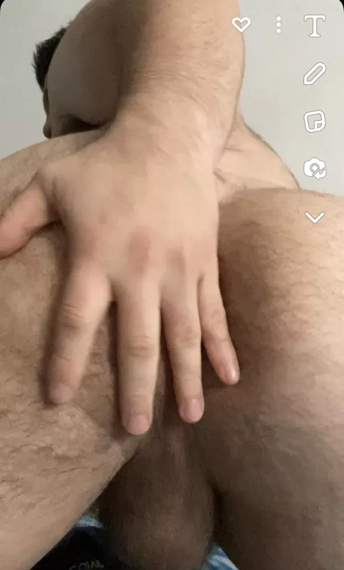 Osito mexicano en busca de amigos