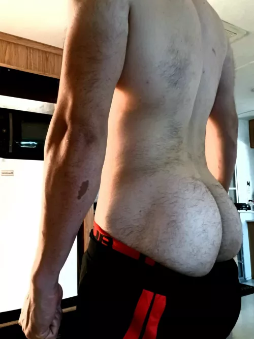 #who loves hairy asses? [37]