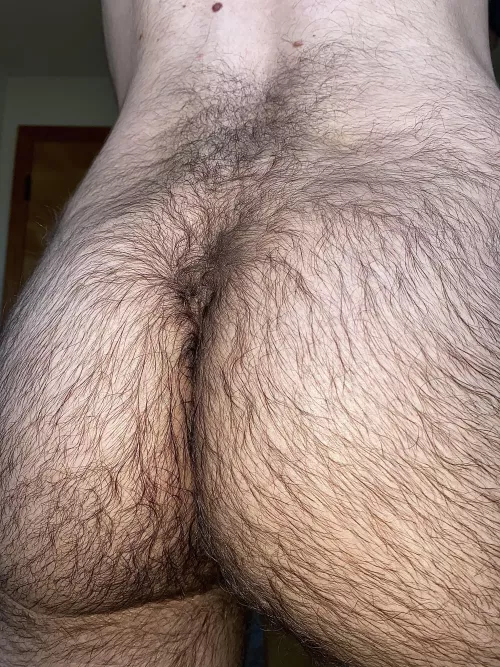 Who wants to help me out?