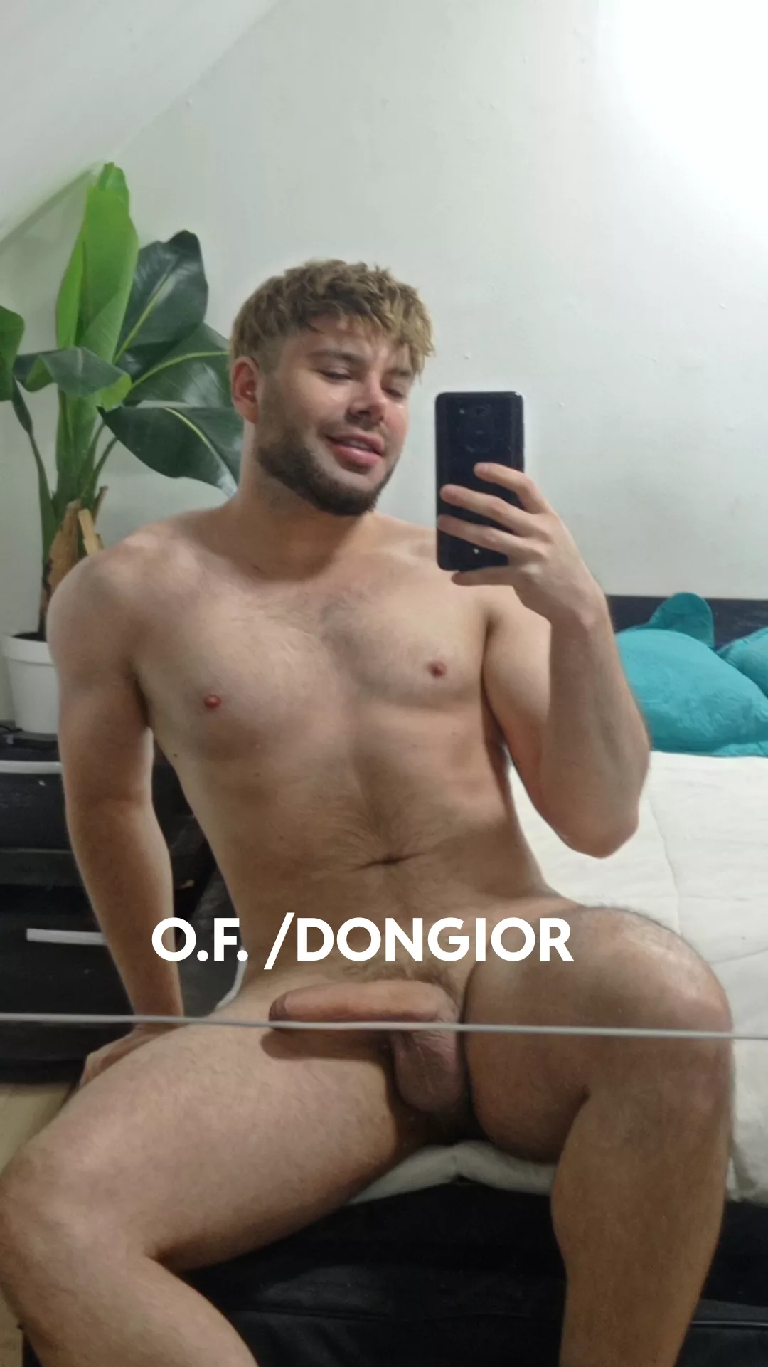 Would you ride or suck??