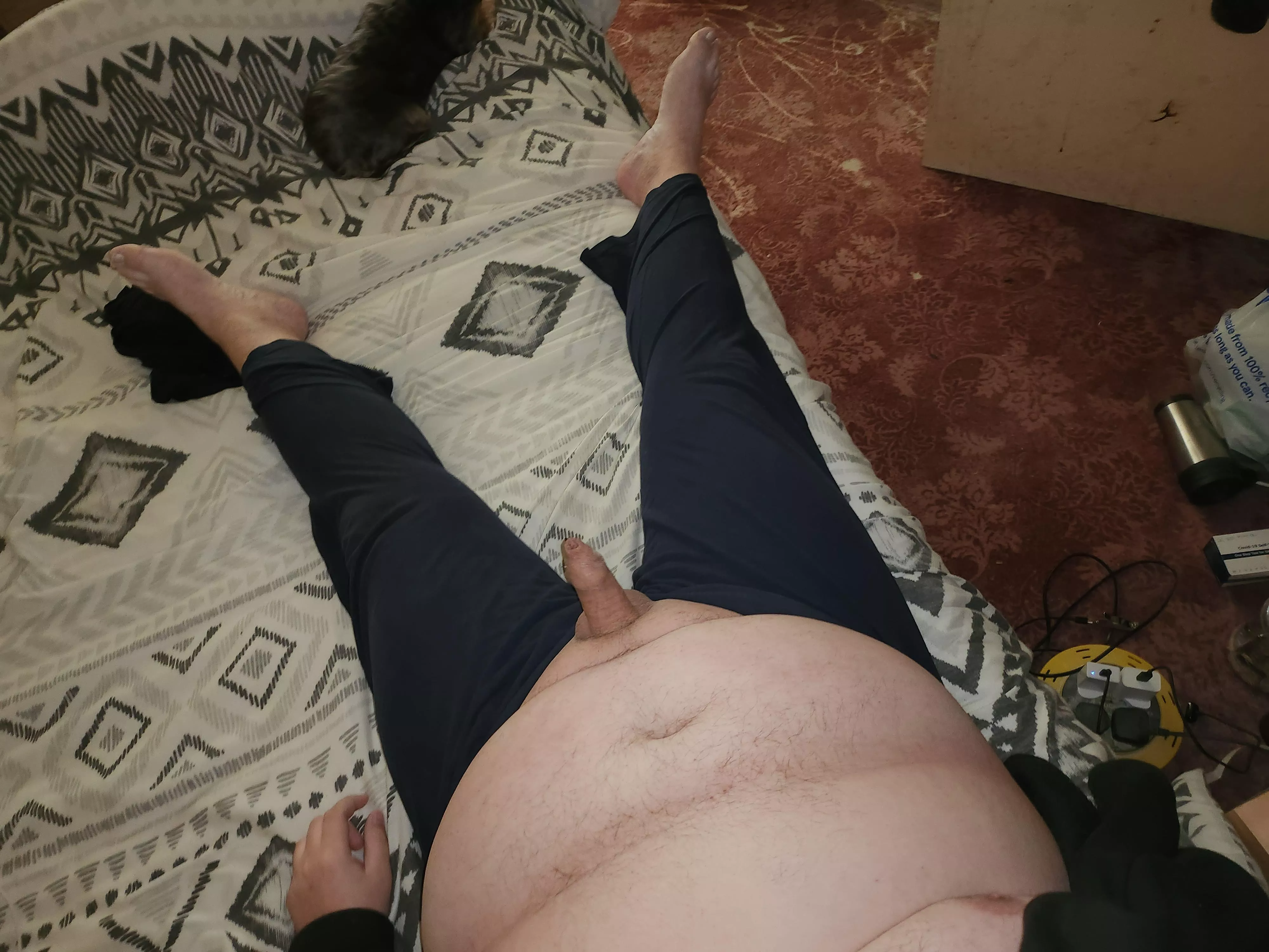 31m guess what I'm up to