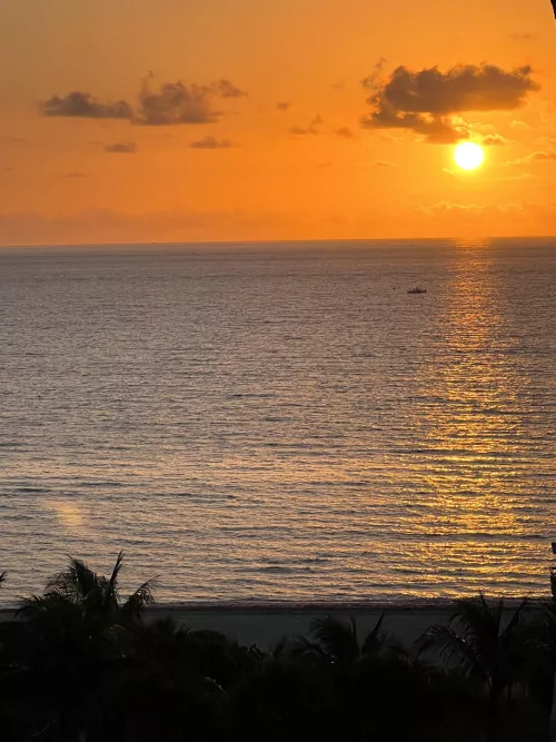 Another beautiful sunshine