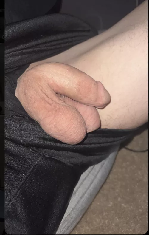 any big cocks wanna show off to my girl and i on snap? i’ll start a groupchat