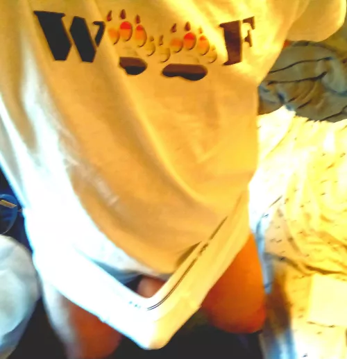 bright sunlight but cold outside. come in and cuddle