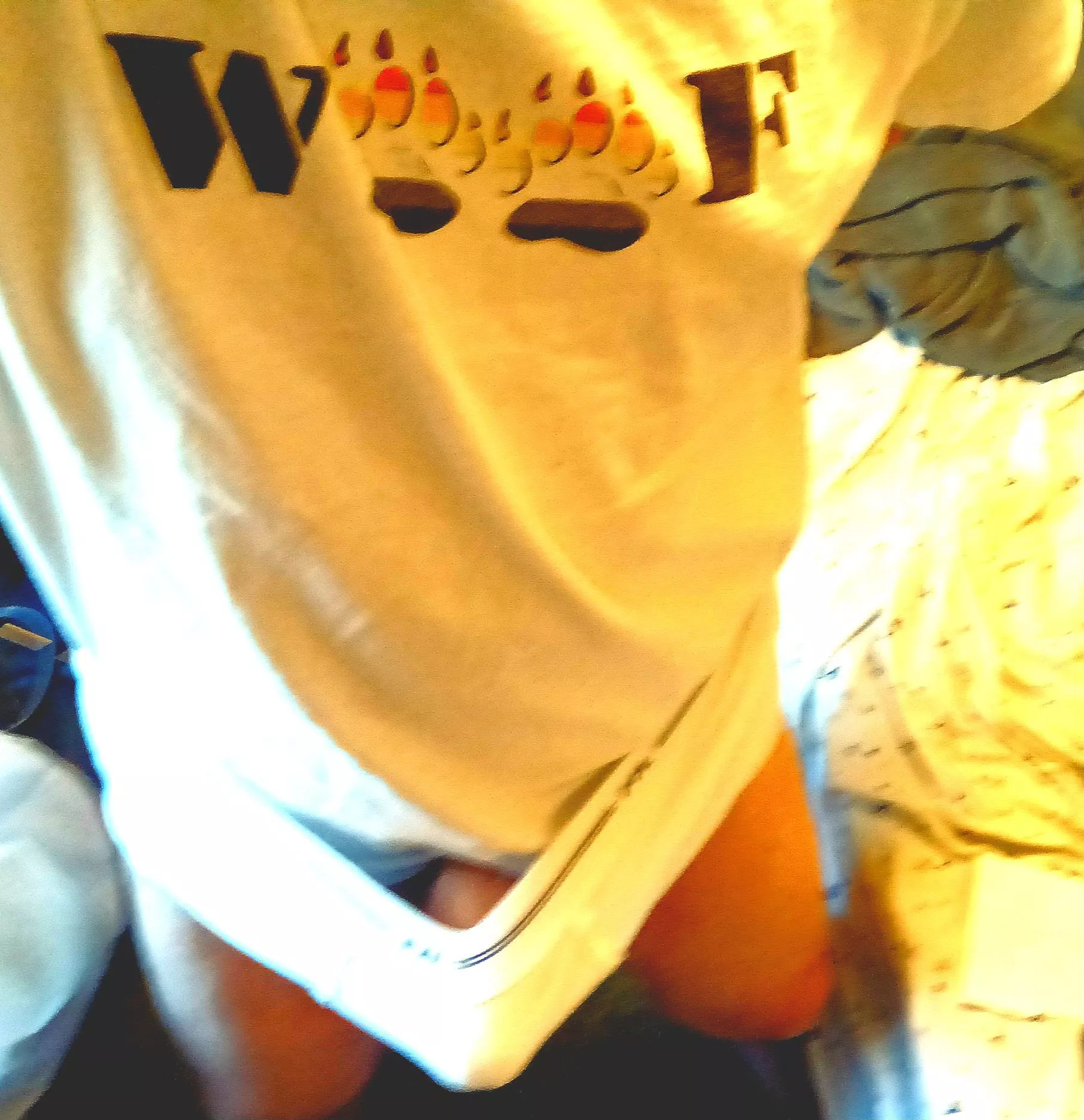 bright sunlight but cold outside. come in and cuddle