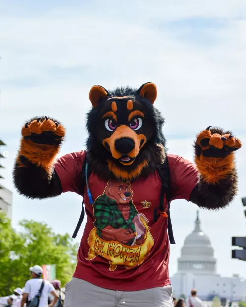 Fursuit at Cherry Blossom Festival rawr