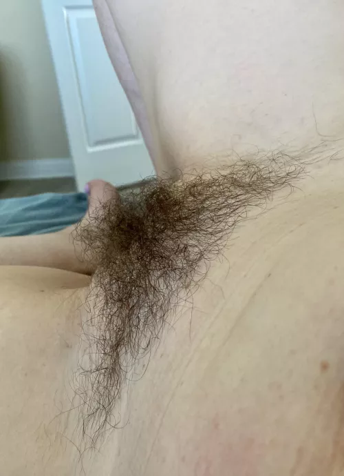 Growing in nicely don’t you think??