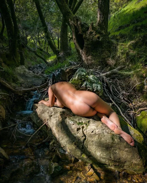 Jungle 🧚‍♀️