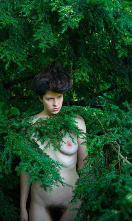Kelsey Dylan, Bush in a Bush