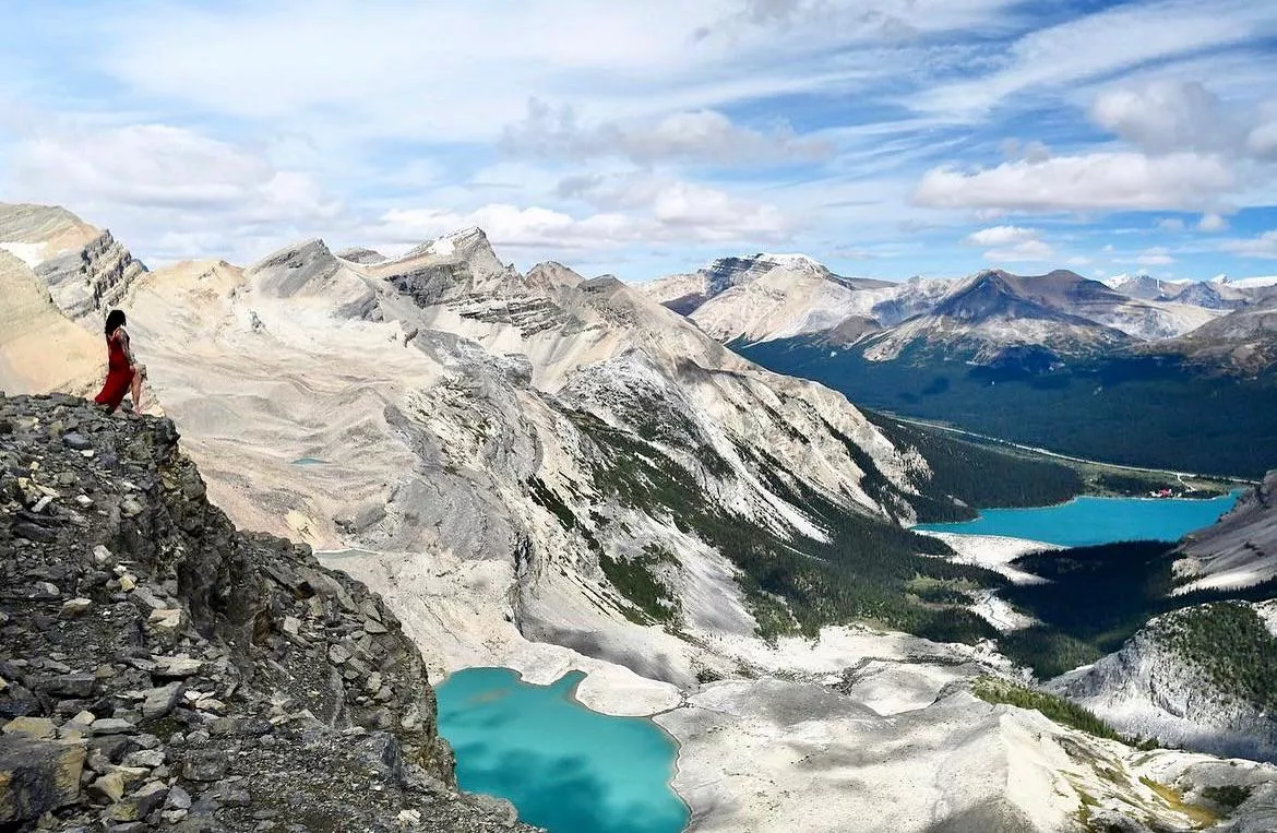 Lingerie in the Wild