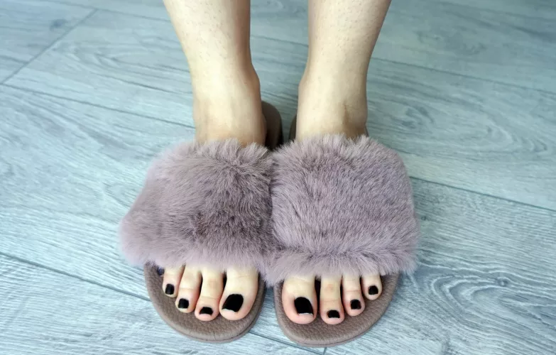 (OC) I think your face would be much more comfortable than this fluffs.