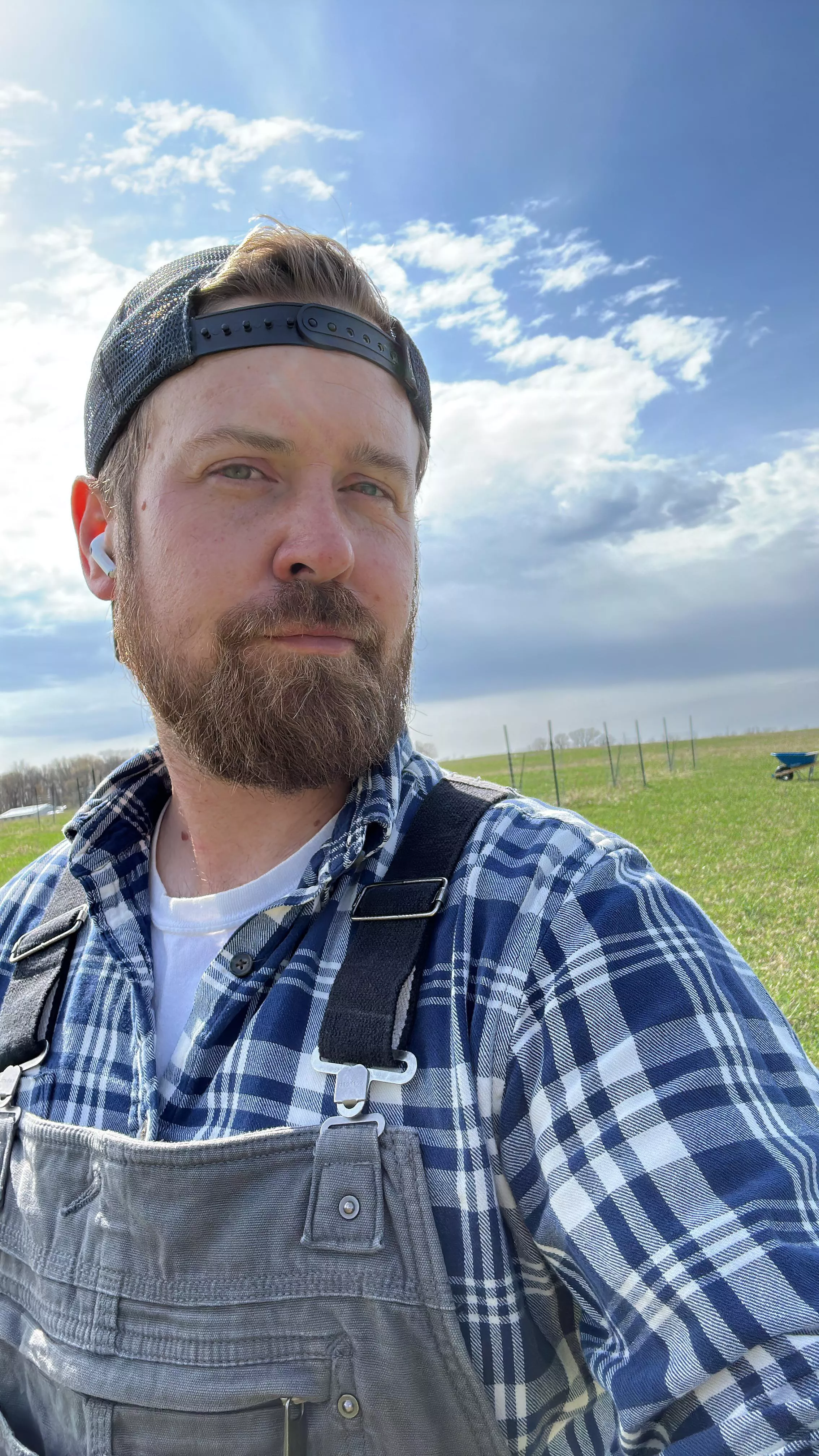 Perfect day to work in the orchard 🍎