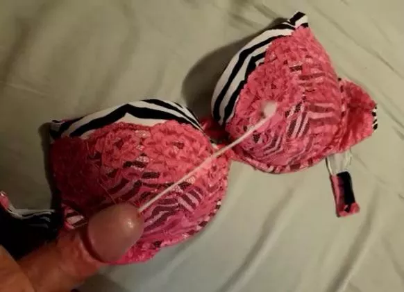 [Proof] cum in someone's dirty or new bra