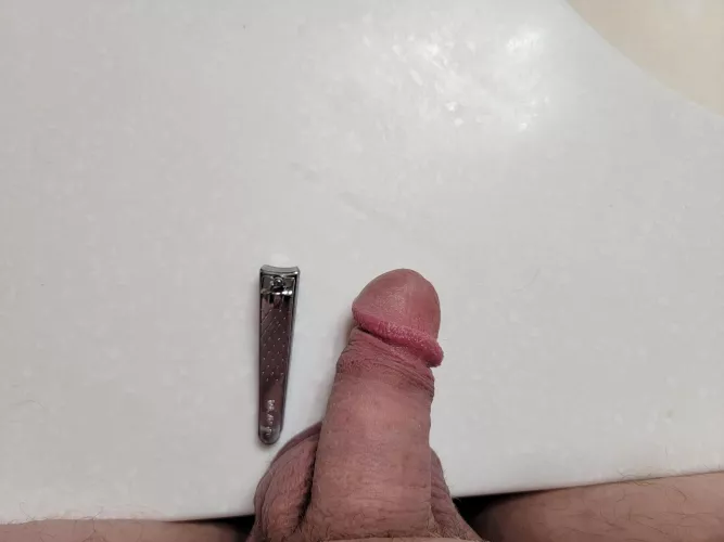 Roast my useless dick. Nail clipper for comparison