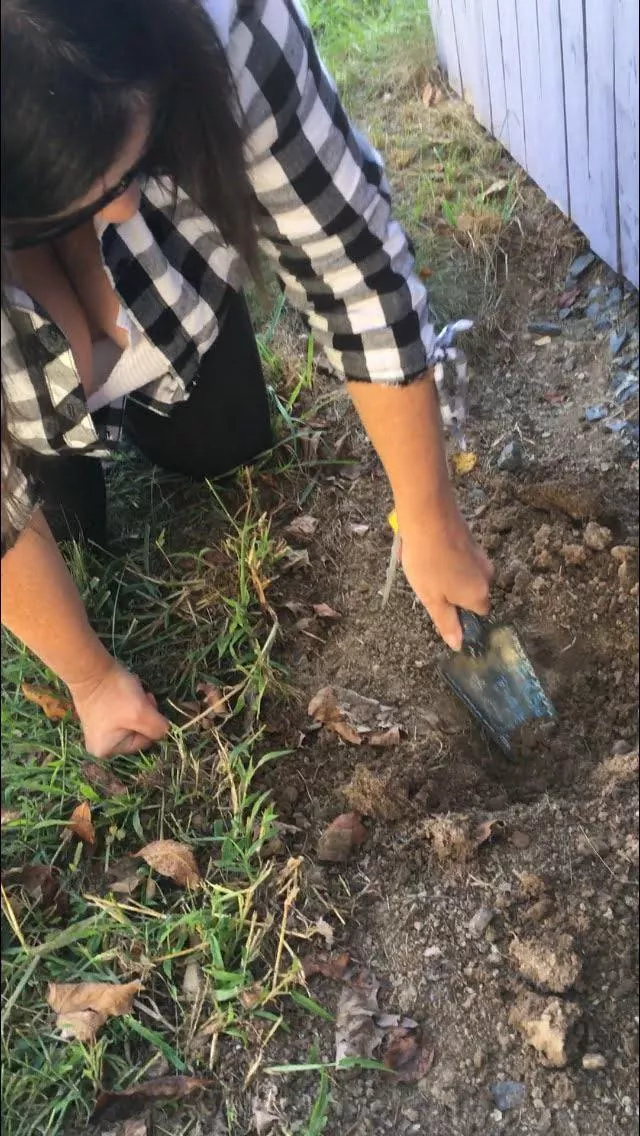 the weathers beautiful