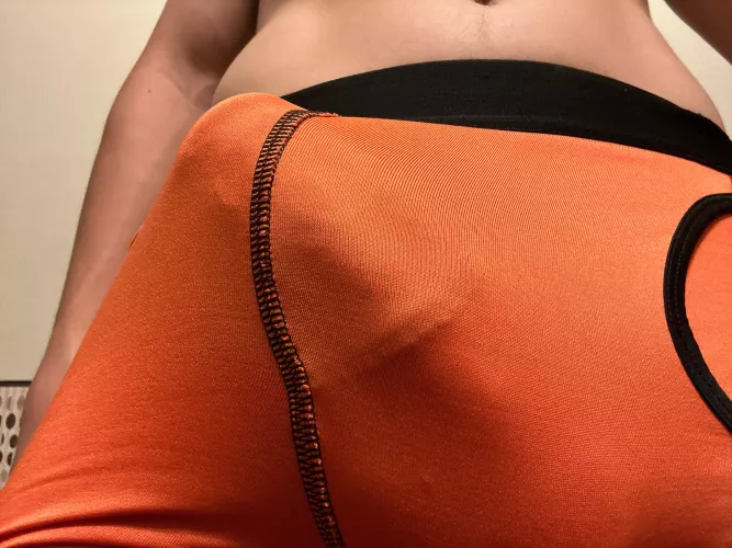 They don’t hide much