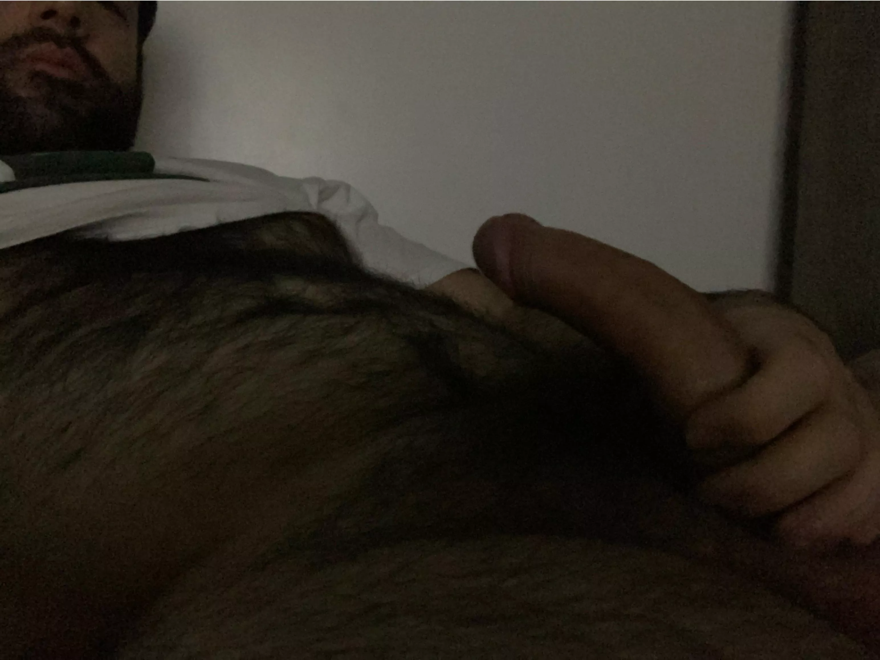 This fur isn’t gonna sniff itself