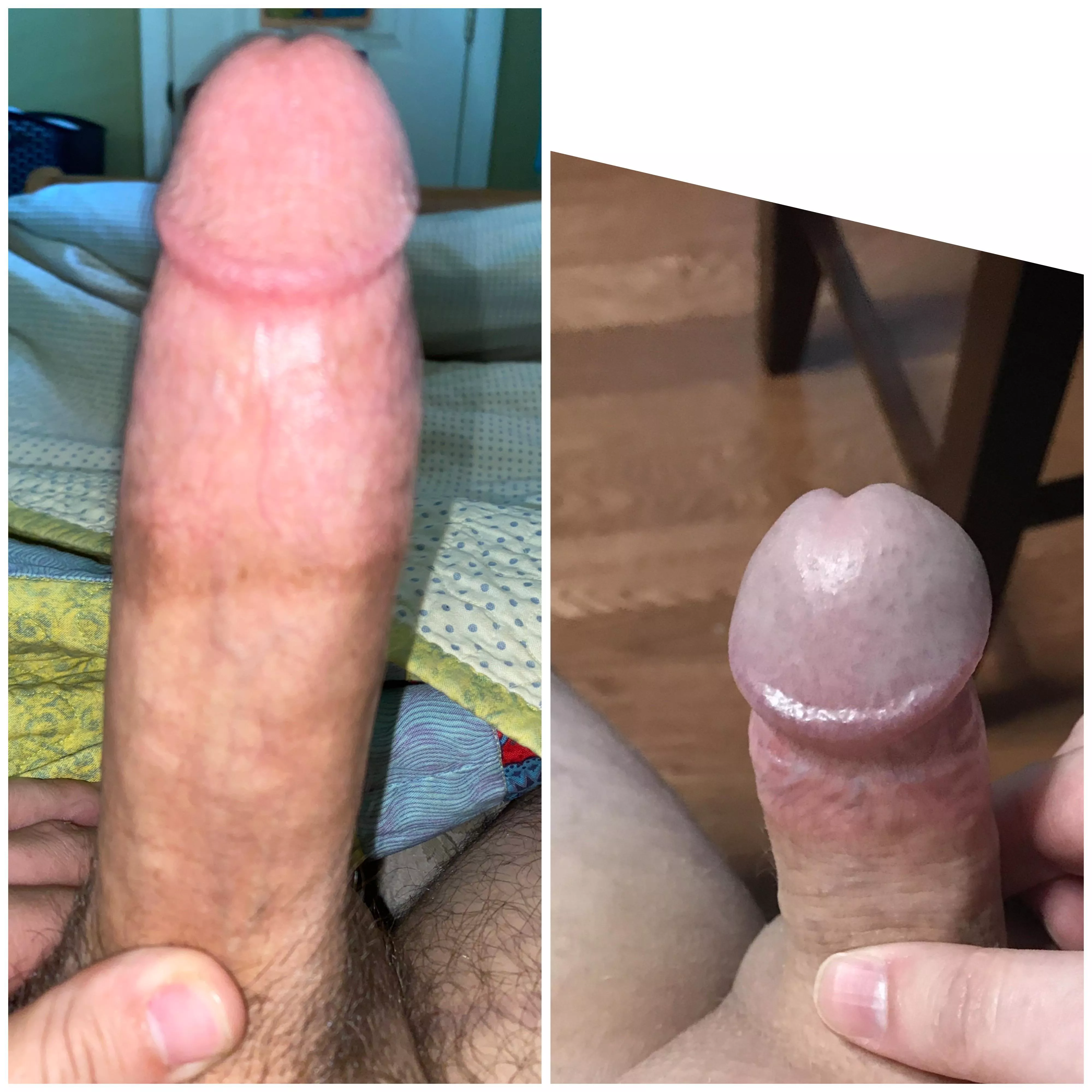 This guy wanted to compare, who wins?