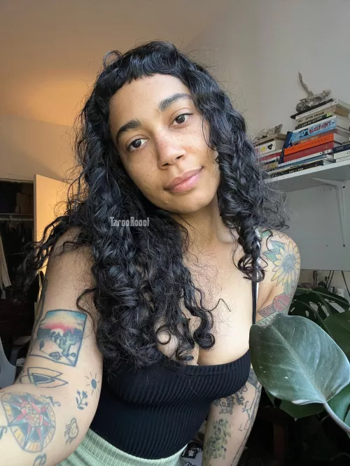 West African x German