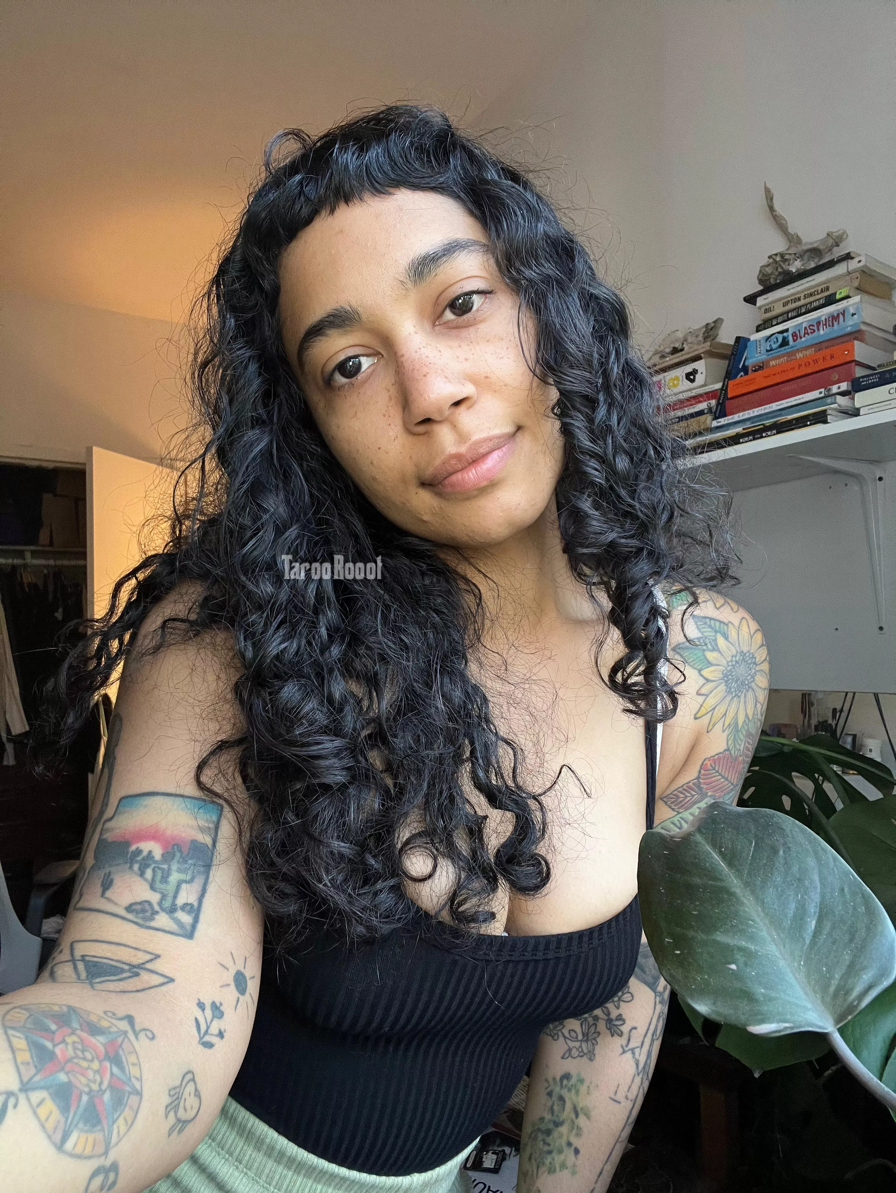 West African x German