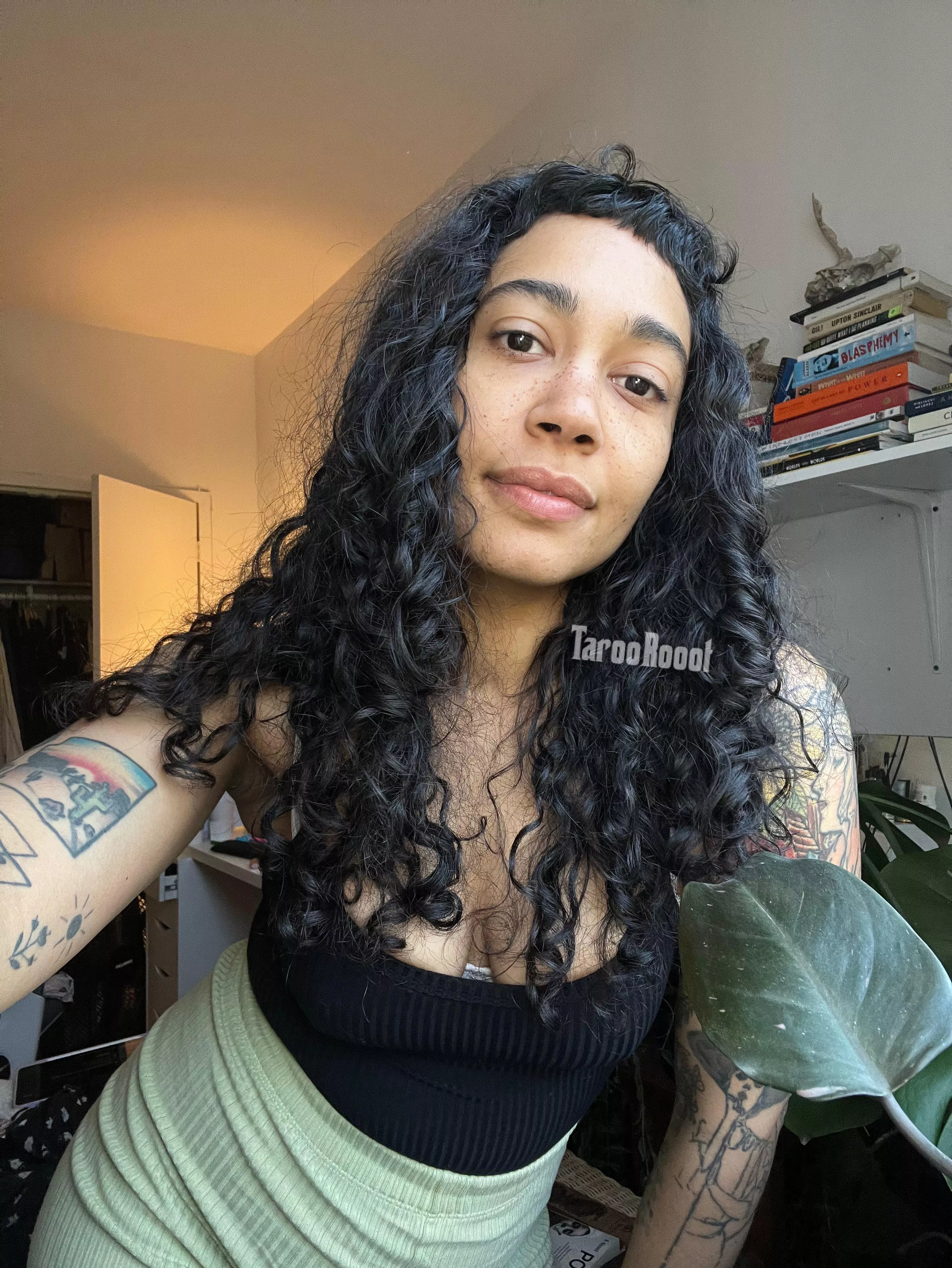 What are we doing today?