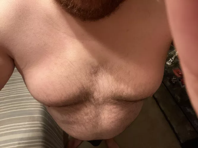 Who likes a hairy belly
