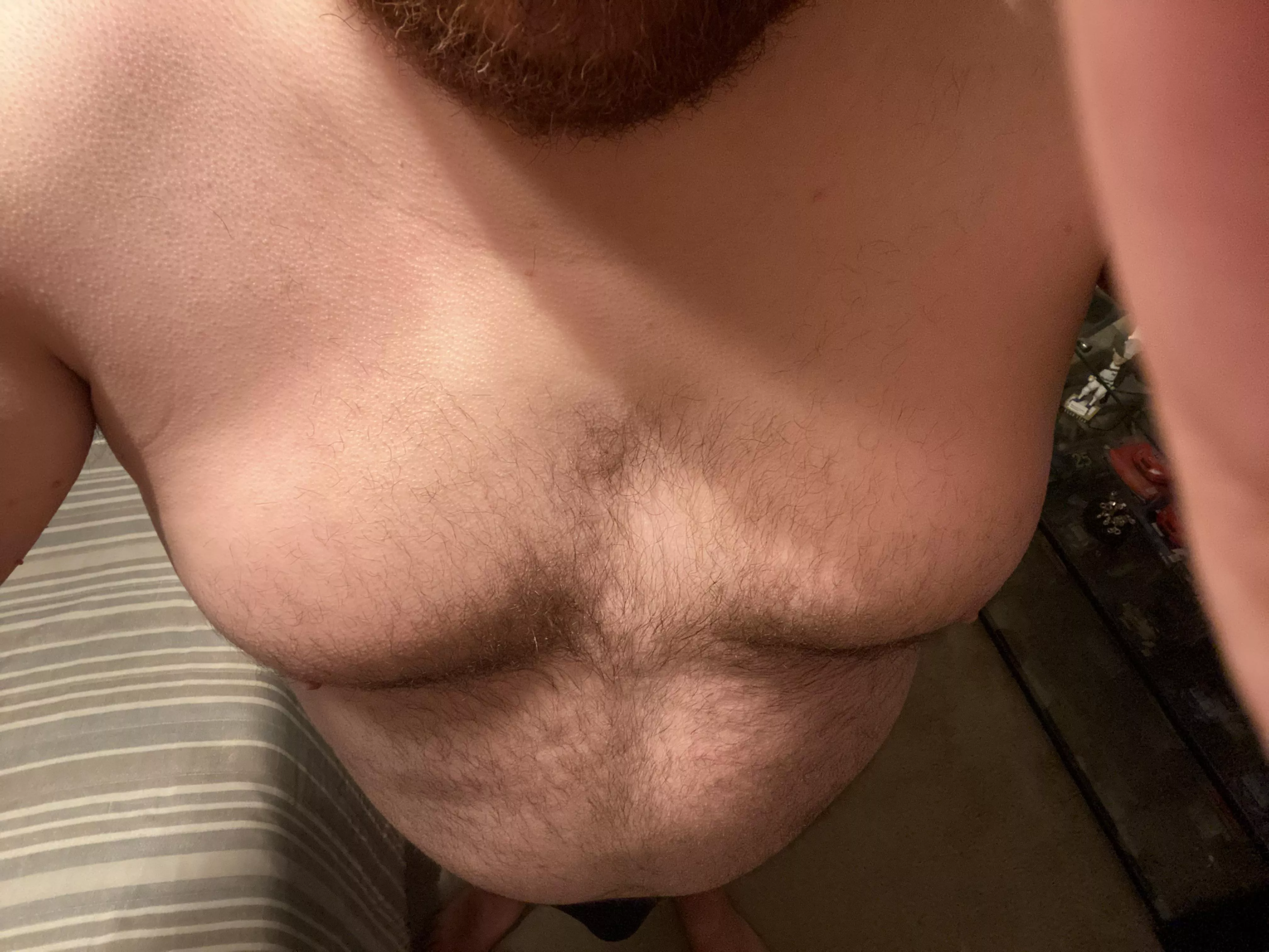 Who likes a hairy belly